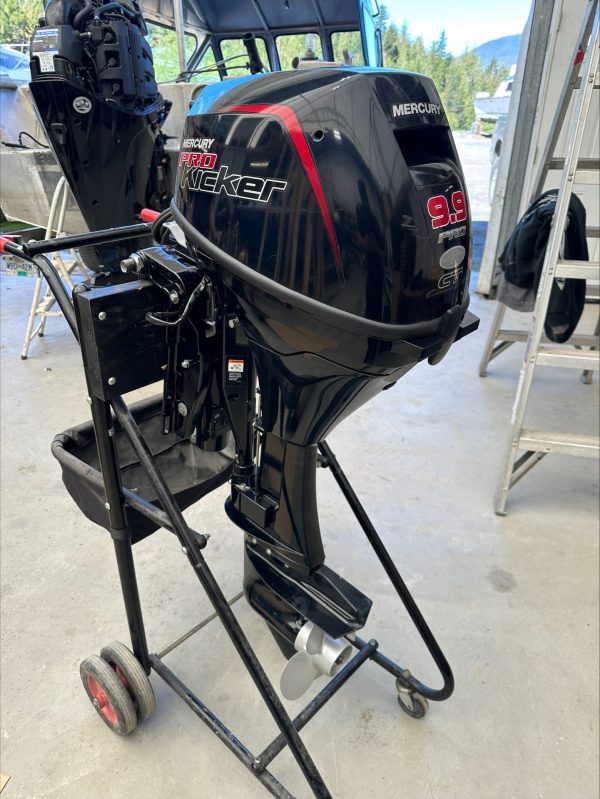 2020 9.9elpt ct prokicker - trade in